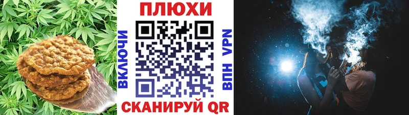 где купить наркоту  Михайловск  OMG tor  Cannafood конопля 