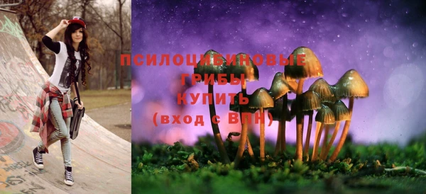 ГАЛЛЮЦИНОГЕННЫЕ ГРИБЫ Новый Уренгой