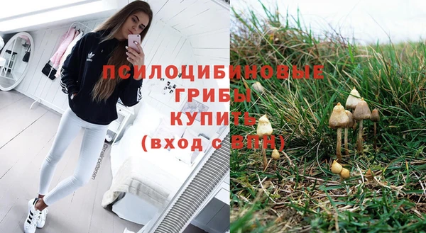 не бодяженный Богородицк
